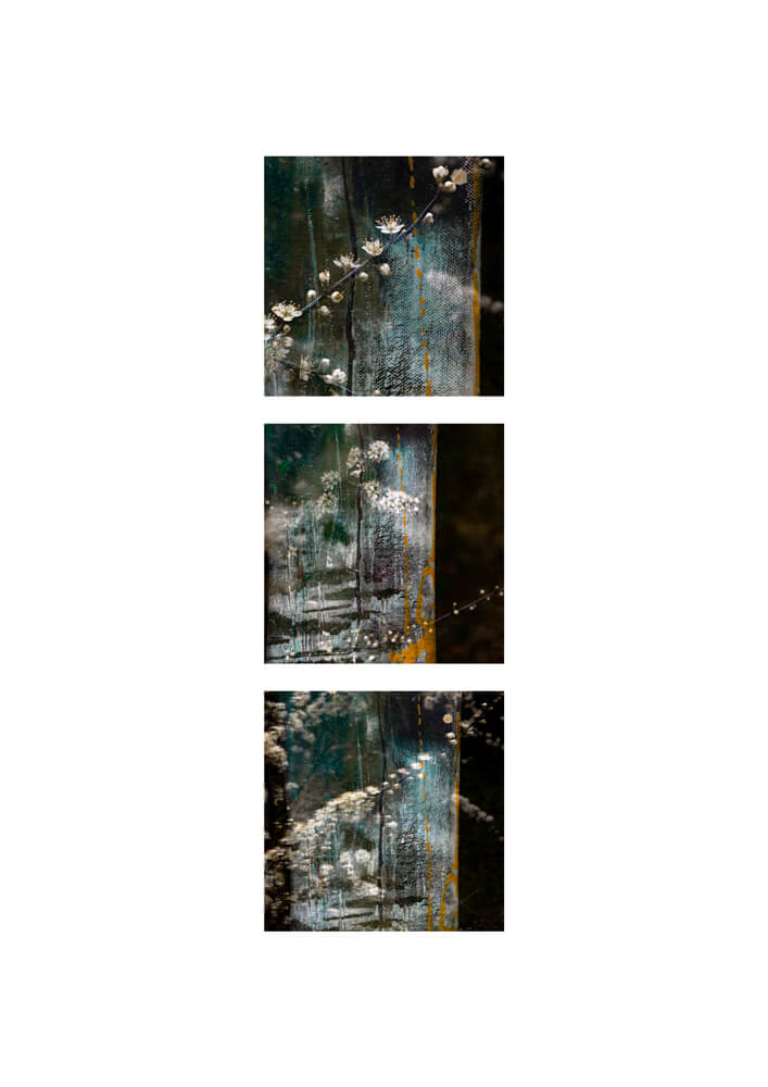 Of light and layers studios fine art print collection