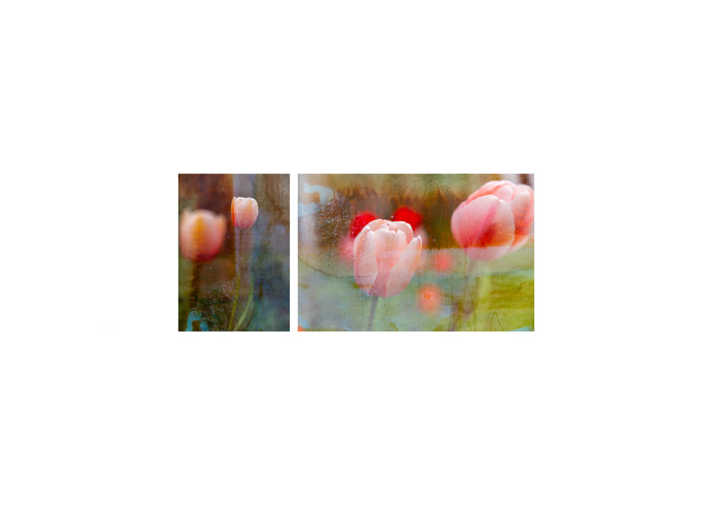 Of light and layers studios fine art print collection