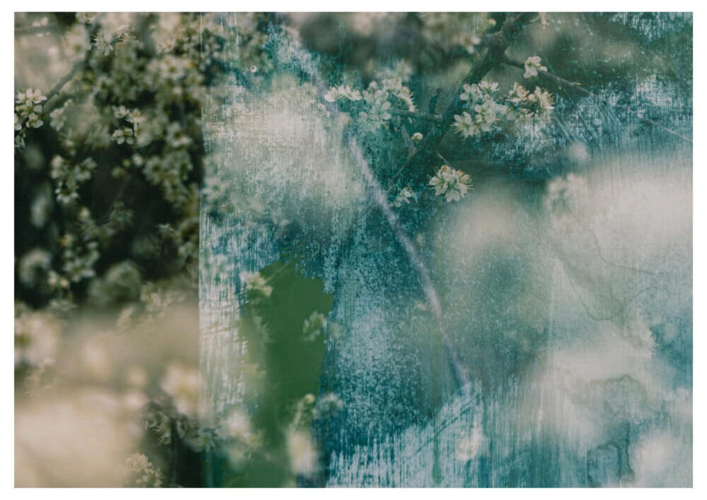 Of light and layers studios fine art print collection