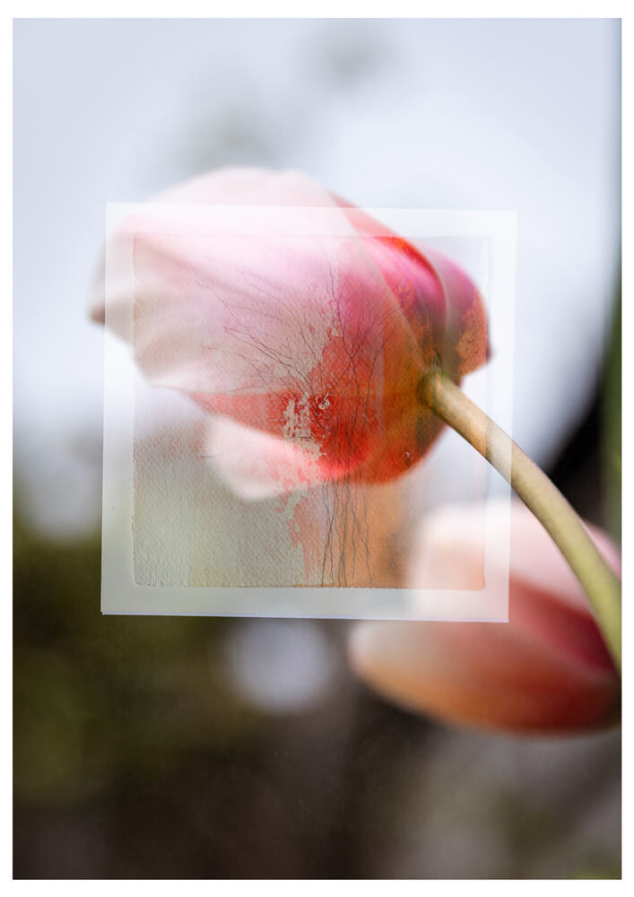 Of light and layers studios fine art print collection