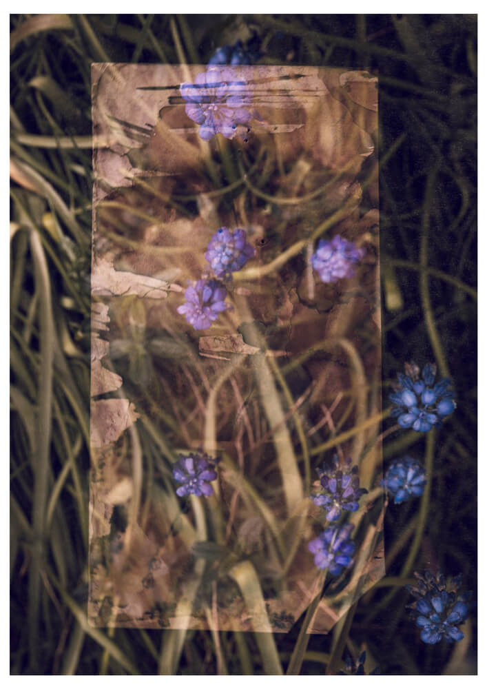 Of light and layers studios fine art print collection