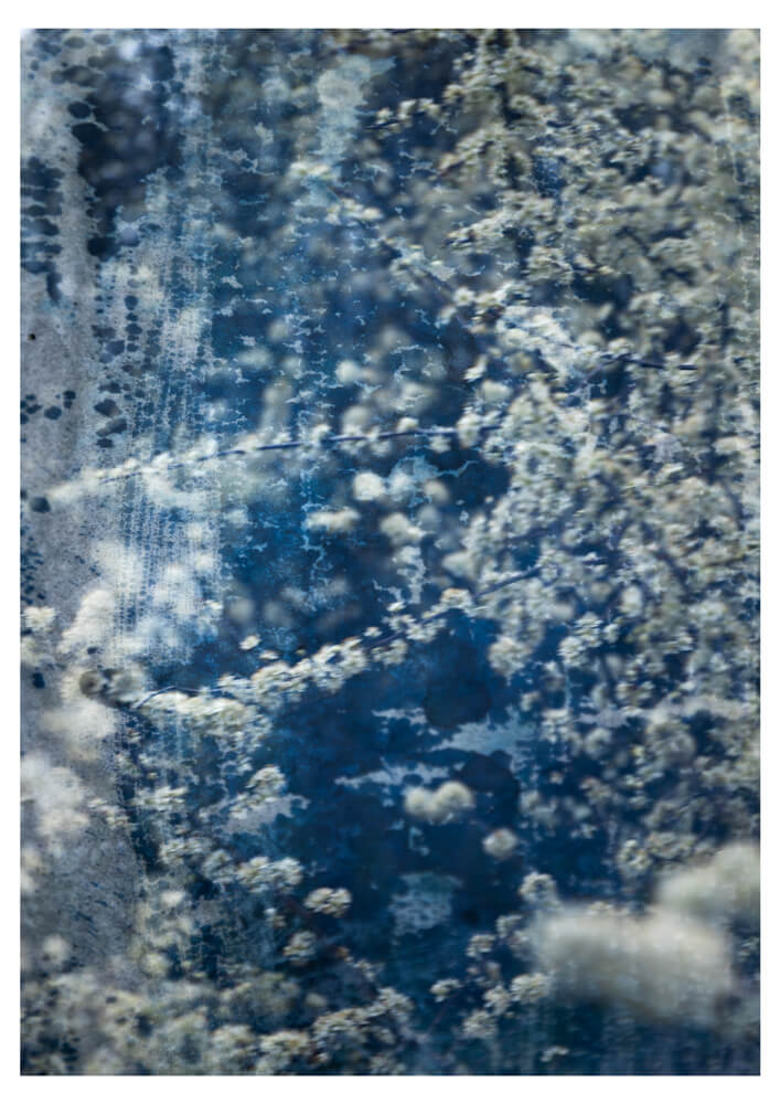 Of light and layers studios fine art print collection