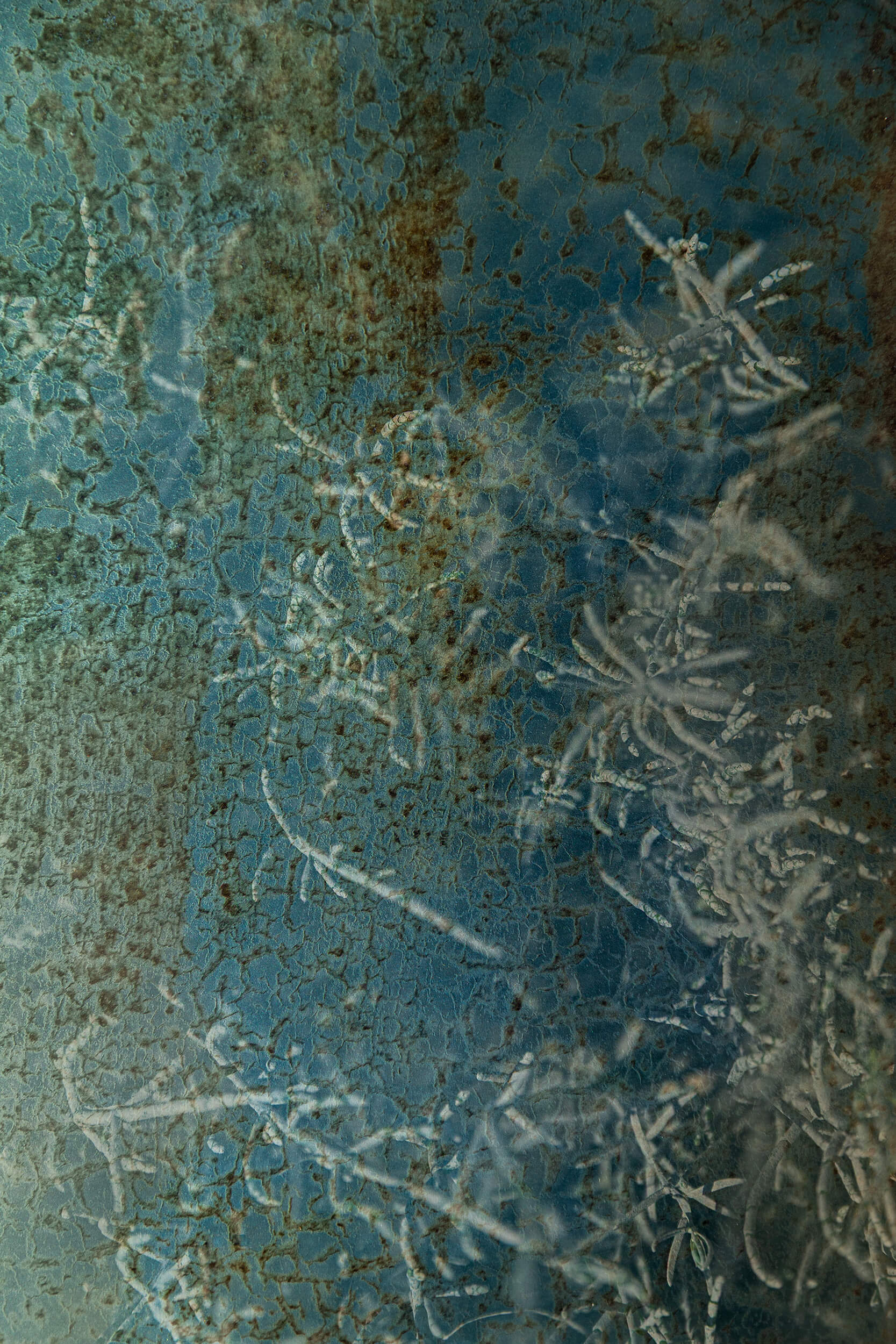 fine art print_patina