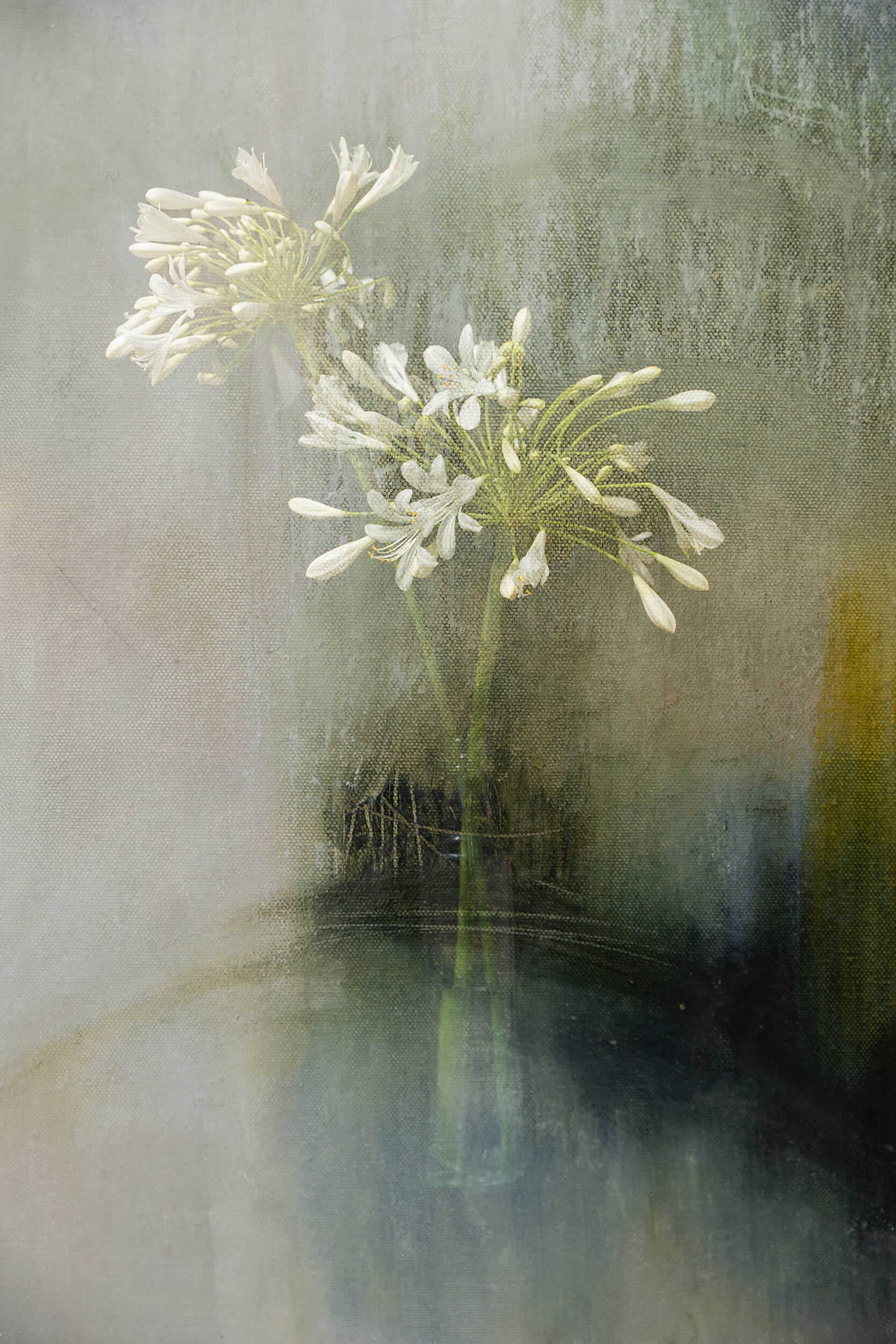 Fine art print_agape